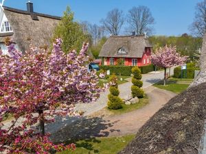 Reetdach dominiert Groß Schwansee