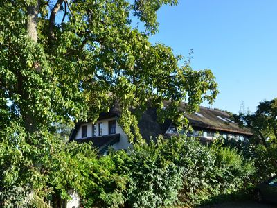 Ferienhaus für 8 Personen (100 m²) in Groß Zicker 4/10