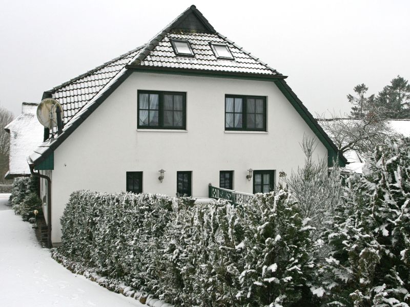 23839241-Ferienhaus-8-Groß Zicker-800x600-2