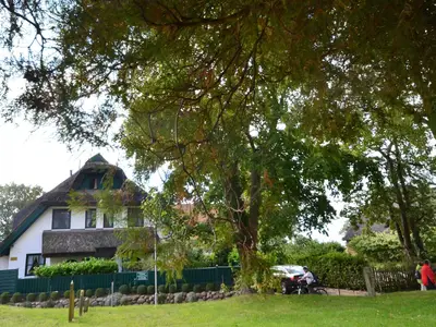 Ferienhaus für 5 Personen (80 m²) in Groß Zicker 7/10