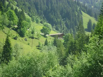 Ferienhaus für 6 Personen (60 m²) in Grossarl 10/10