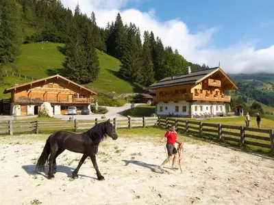 Ferienhaus für 12 Personen (200 m²) in Grossarl 4/10
