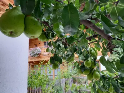Ferienhaus für 10 Personen (140 m²) in Grossarl 8/10