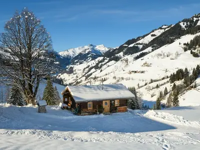 Ferienhaus für 5 Personen (60 m²) in Grossarl 1/10
