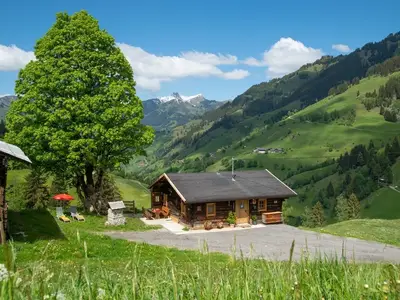 Ferienhaus für 5 Personen (60 m²) in Grossarl 4/10