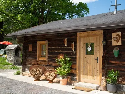 Ferienhaus für 5 Personen (60 m²) in Grossarl 2/10