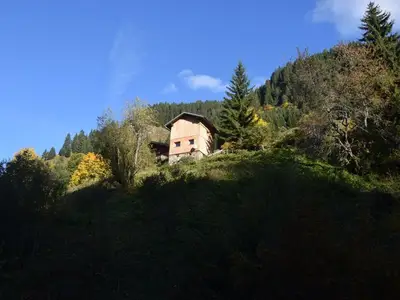 Ferienhaus für 4 Personen (50 m²) in Grossarl 1/10