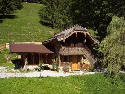 Ferienhaus für 4 Personen (45 m²) in Grossarl 1/10