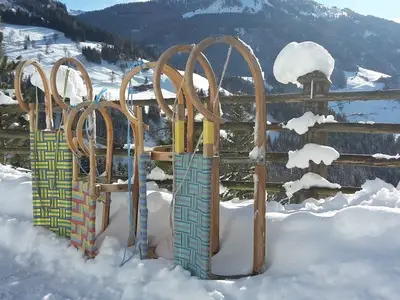 Ferienhaus für 6 Personen (80 m²) in Grossarl 4/10