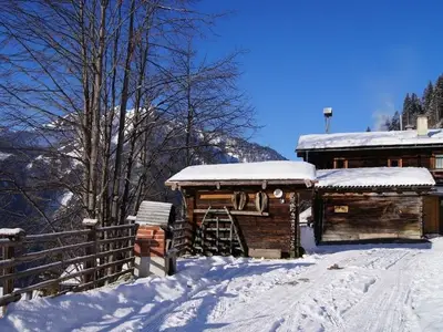 Ferienhaus für 13 Personen (165 m²) in Grossarl 4/10