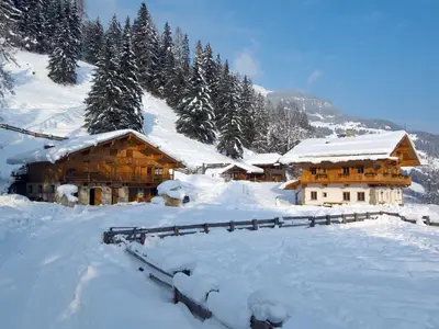 Ferienhaus für 12 Personen (200 m²) in Grossarl 3/10