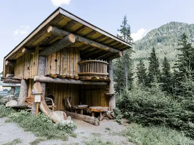 Ferienhaus für 4 Personen (100 m²) in Grossarl 3/10