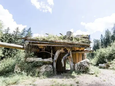 Ferienhaus für 4 Personen (100 m²) in Grossarl 7/10