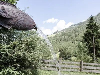 Ferienhaus für 4 Personen (100 m²) in Grossarl 9/10