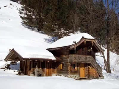 Ferienhaus für 4 Personen (45 m²) in Grossarl 2/10