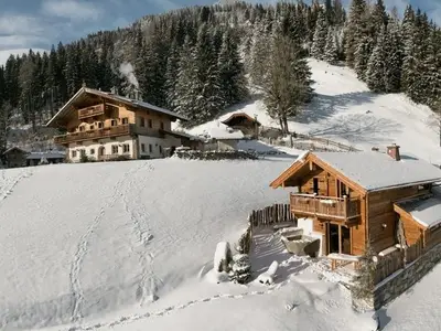 Ferienhaus für 4 Personen (45 m²) in Grossarl 3/10