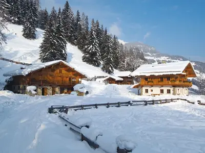 Ferienhaus für 4 Personen (45 m²) in Grossarl 4/10