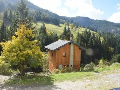 Ferienhaus für 4 Personen (50 m²) in Grossarl 1/10