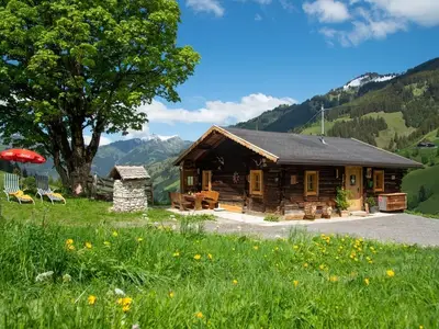 Ferienhaus für 5 Personen (60 m²) in Grossarl 1/10