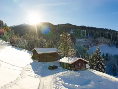 Ferienhaus für 5 Personen (60 m²) in Grossarl 2/10