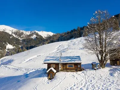 Ferienhaus für 5 Personen (60 m²) in Grossarl 4/10