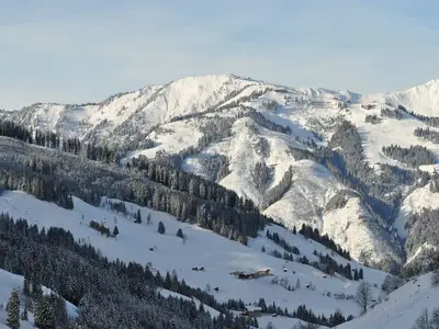 Ferienhaus für 6 Personen (60 m²) in Grossarl 4/10