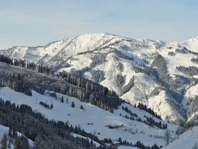 Ferienhaus für 6 Personen (60 m²) in Grossarl 4/10