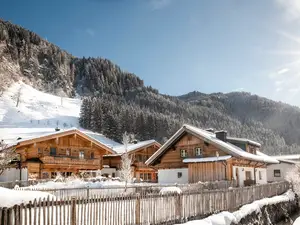 Ferienhaus für 6 Personen (135 m²) in Grossarl