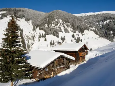 Ferienhaus für 12 Personen (120 m²) in Grossarl 8/10