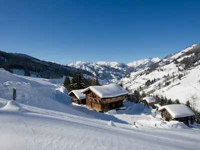 Ferienhaus für 12 Personen (120 m²) in Grossarl 9/10