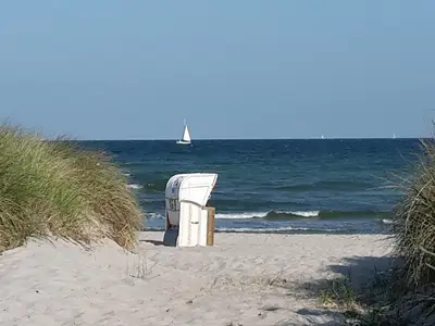 Ferienhaus für 6 Personen (60 m²) in Großenbrode 10/10