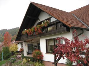 22429317-Ferienhaus-4-Großheubach-300x225-5