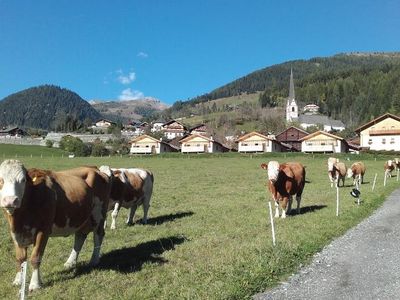 Bauernhof mit Ferienhäusern