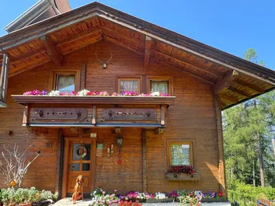 Báró Magyar Vizsla Jagdhund vor unserem Chalet
