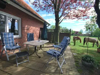 Ferienhaus für 4 Personen (70 m²) in Großoldendorf 1/10