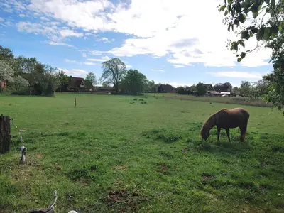 Ferienhaus für 4 Personen (70 m²) in Großoldendorf 5/10