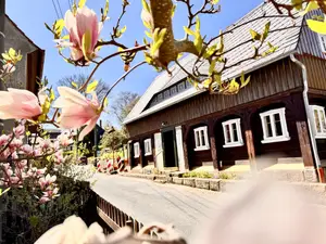 Ferienhaus für 4 Personen (100 m²) in Großschönau