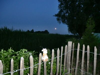 Ferienhaus Am Alten Deich