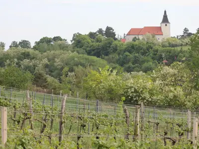 Ausblick aus dem Fenster