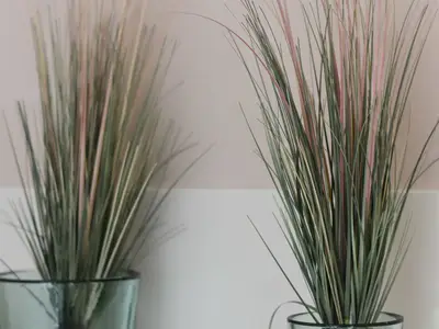 Ferienhaus für 4 Personen (57 m²) in Grube 10/10