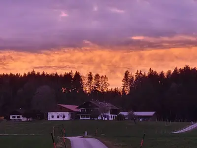 Impression im Frühling