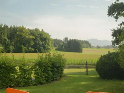 Blick von der Liegewiese