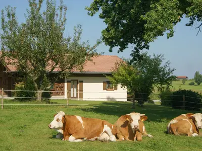 Seitenansicht