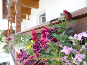Ferienhaus für 4 Personen (85 m²) in Gstadt am Chiemsee