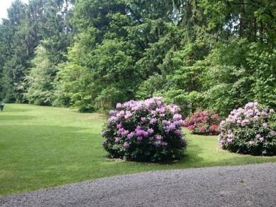 Der schöne große Garten mit Wiese und Wald.