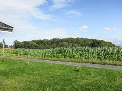 outside