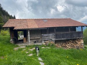 23646696-Ferienhaus-2-Gündlischwand-300x225-1