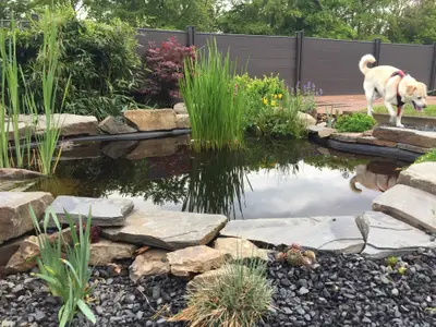 Ferienhaus für 4 Personen (100 m²) in Gunderath 9/10