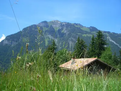 Bild 12