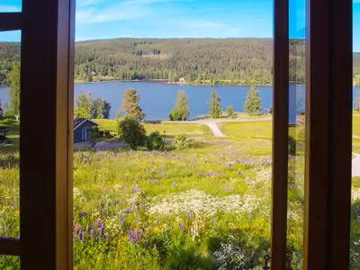 view-from-room